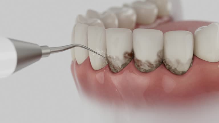 Reliable Dental contractor in Portland, ME by Dentist Open Now